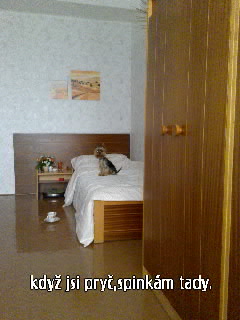 001.jpg